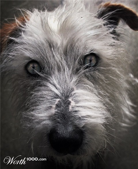 Photoshop Design by MikelB