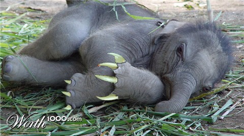 Photoshop Design by PeterAAAWelch