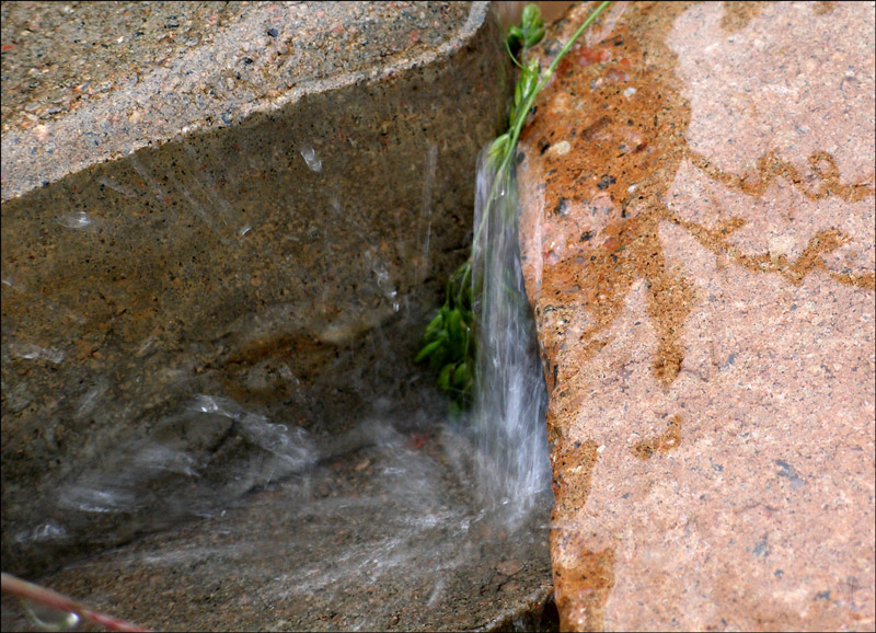 Photography by frevik for DesignCrowd (Community Contests) | Design #8996267