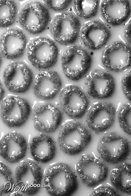 Photography by sundive-ken