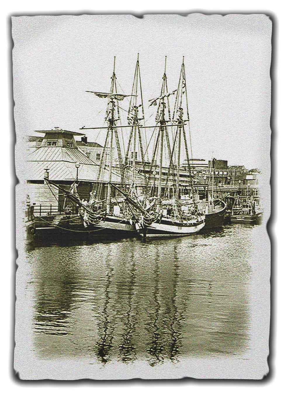 Photography by evsynator for DesignCrowd (Community Contests) | Design #8999316