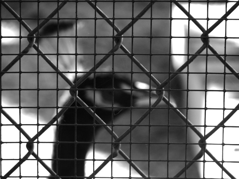 Photography by robinsphotos for DesignCrowd (Community Contests) | Design #8996868