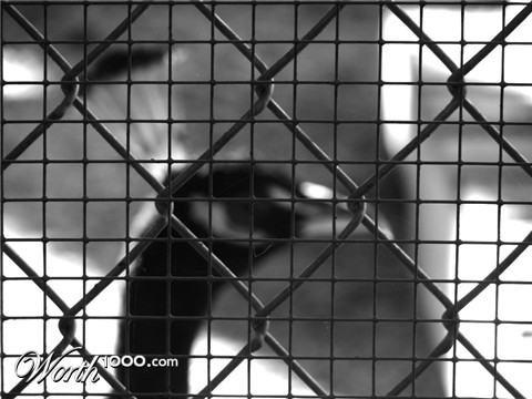 Photography by robinsphotos