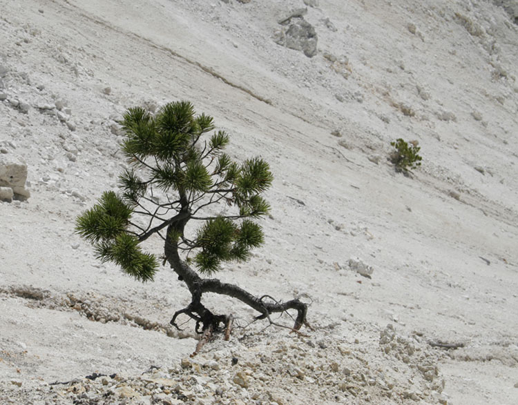 Photography by bluberry098 for DesignCrowd (Community Contests) | Design #8999462