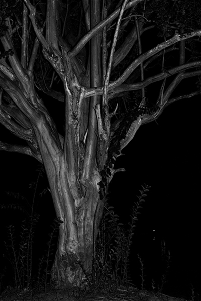 Fotografie von mjw532 für DesignCrowd (Community Contests) | Design #8999394