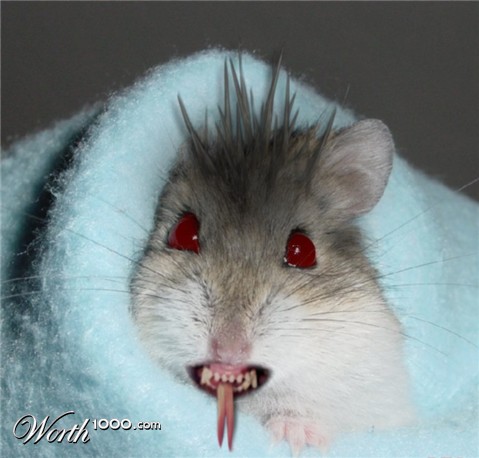 Photoshop Design by MADXTAR