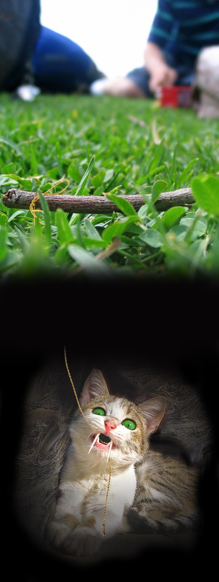 Diseño de Photoshop por tanyadv para DesignCrowd (Community Contests) | Diseño #8999591