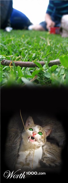 Photoshop Design by tanyadv