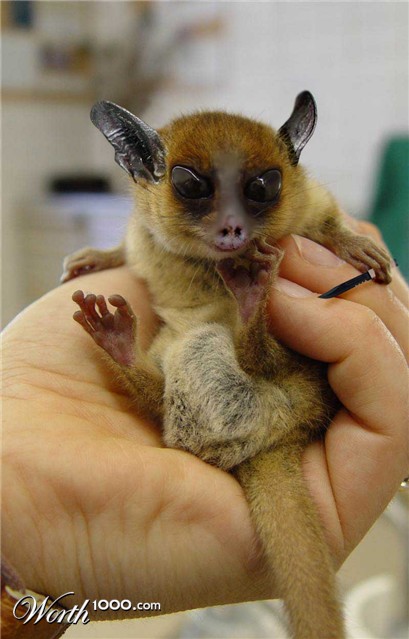 Photoshop Design by TheBrok