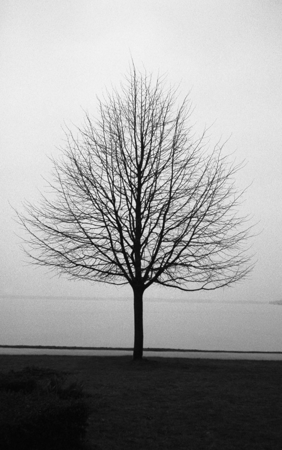 Photography by Para for DesignCrowd (Community Contests) | Design #8999357
