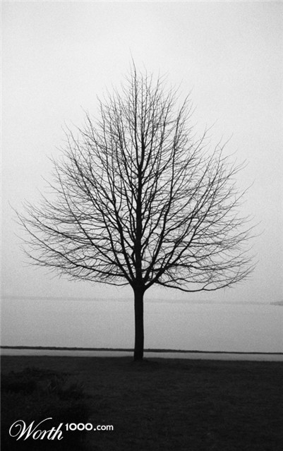 Photography by Para