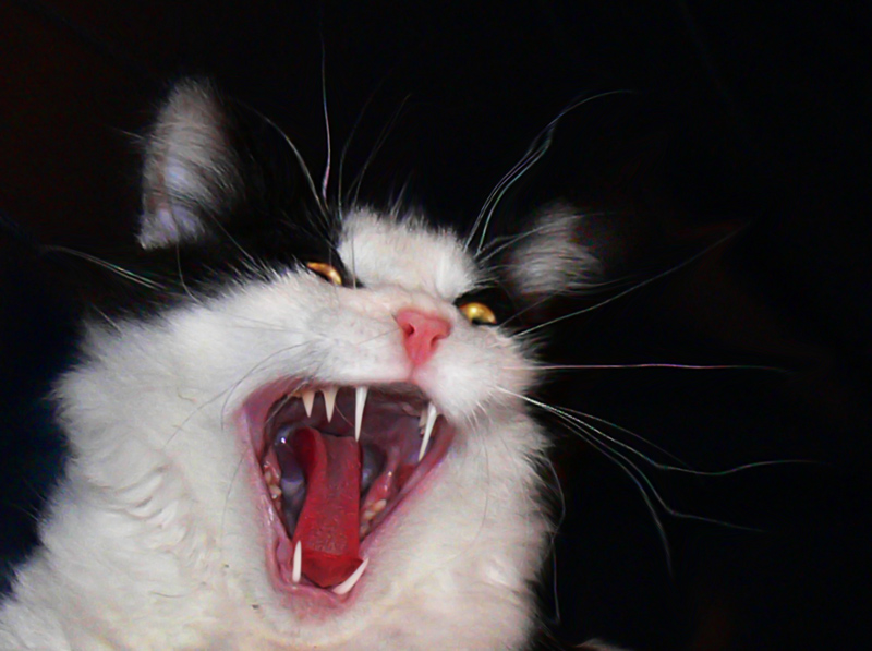 Photoshop Design by them00n for DesignCrowd (Community Contests) | Design #8999636