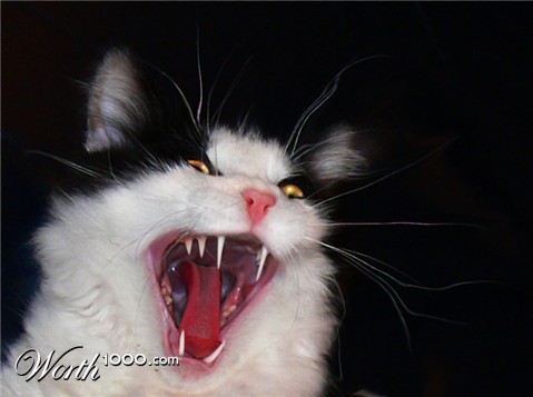 Photoshop Design by them00n