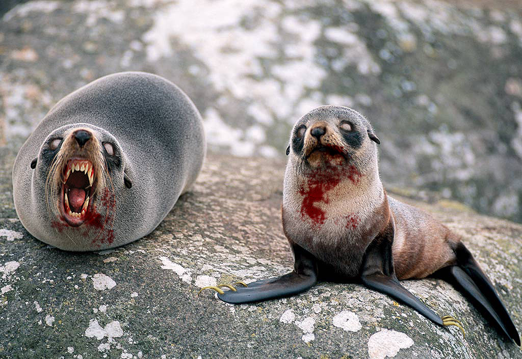 Photoshop Design by MrSlausen for DesignCrowd (Community Contests) | Design #8999631