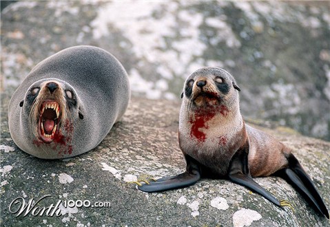 Photoshop Design by MrSlausen