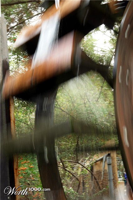 Photography by ljvgtj