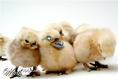 Photoshop Design by jhennn