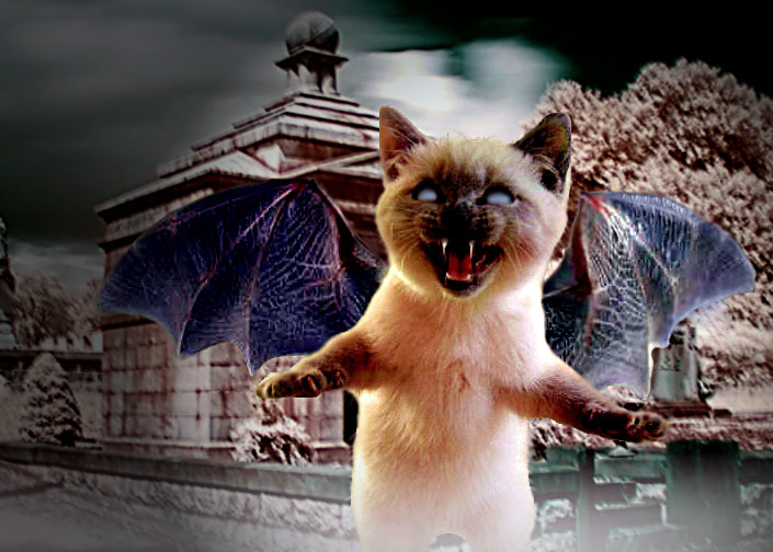 Photoshop Design by dzpcr3 for DesignCrowd (Community Contests) | Design #8999691