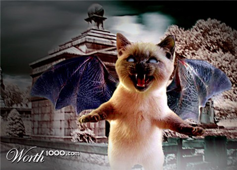 Photoshop Design by dzpcr3