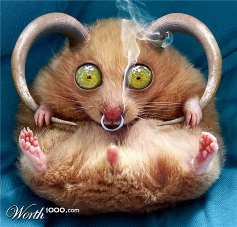 Photoshop Design by mzpresto