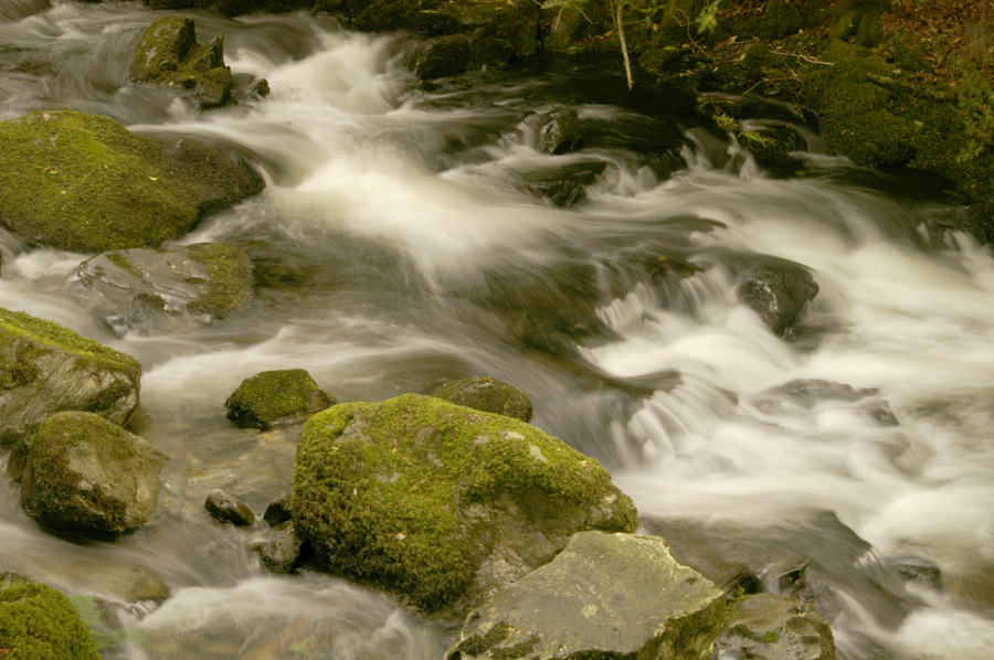 Photographie par Rvannith pour DesignCrowd (Community Contests) | Design #8996334