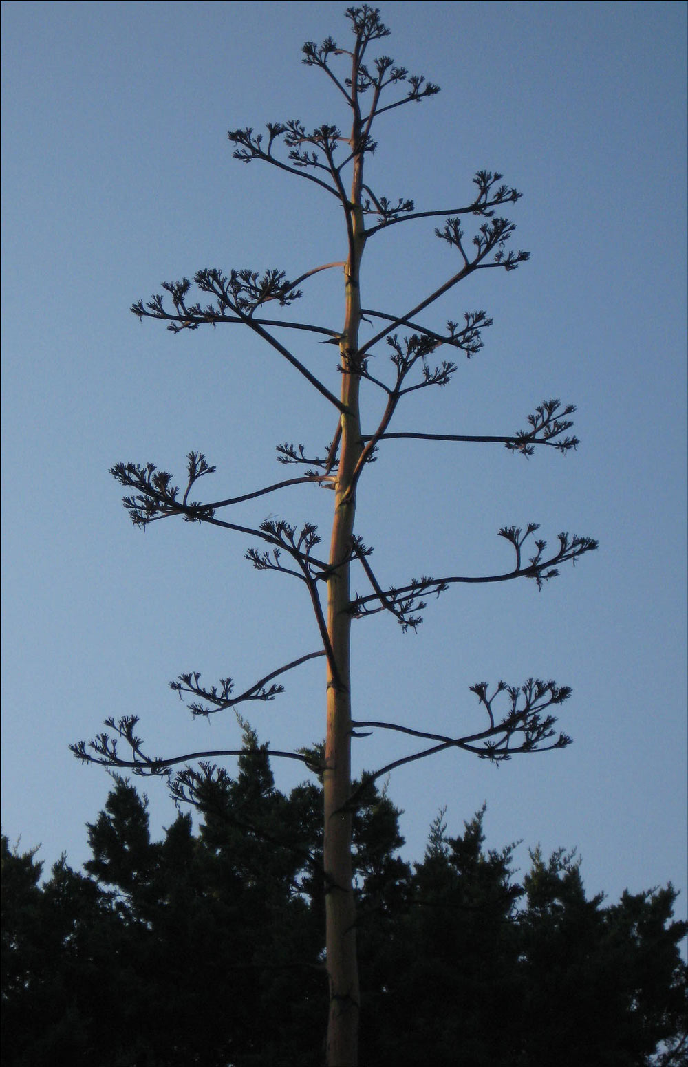 Photography by cridley for DesignCrowd (Community Contests) | Design #8999409