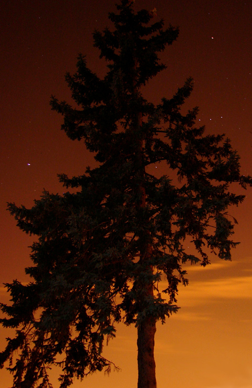 Fotografie von Megain für DesignCrowd (Community Contests) | Design #8999351