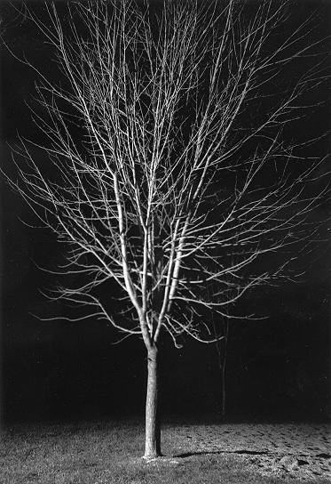 Fotografía por dylder para DesignCrowd (Community Contests) | Diseño #8999382