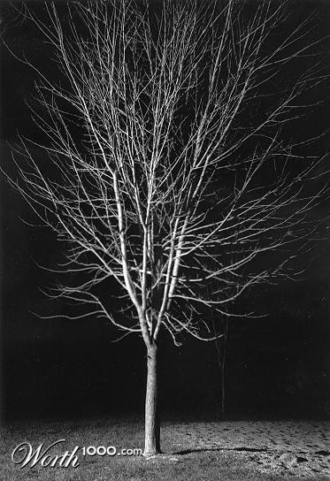 Photography by dylder