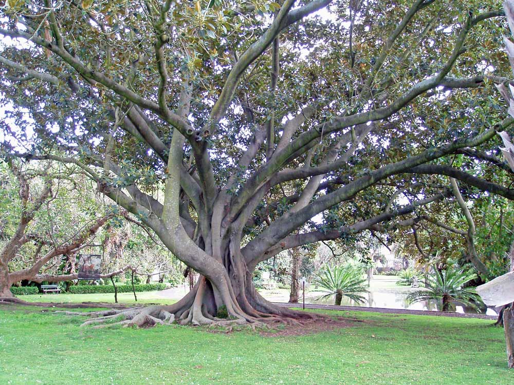 Fotografie von charizz für DesignCrowd (Community Contests) | Design #8999423