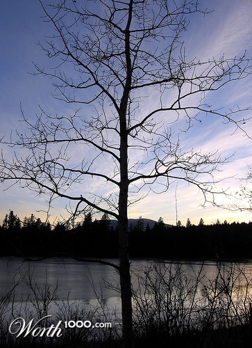 Photography by MissMea