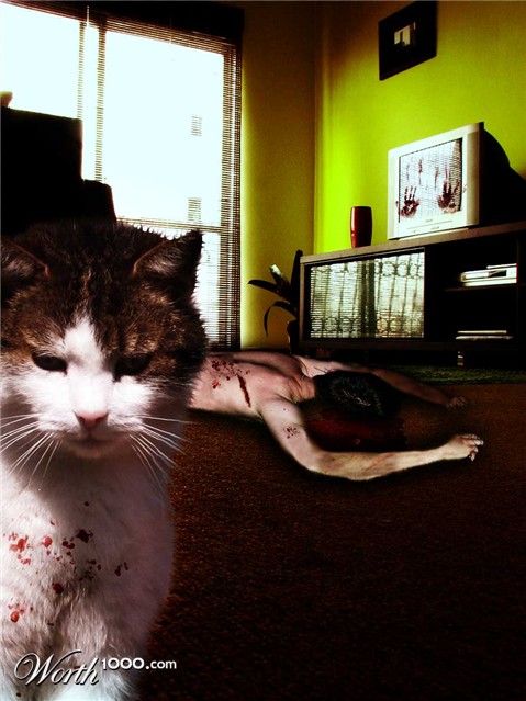 Photoshop Design by MalibuxoRain