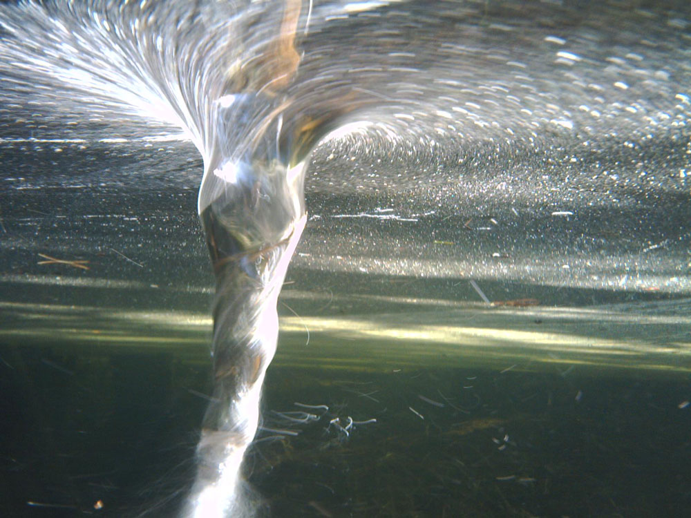 Photographie par isaidwhat pour DesignCrowd (Community Contests) | Design #8996269