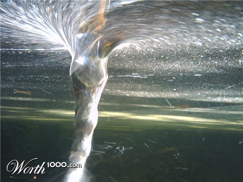 Photography by isaidwhat