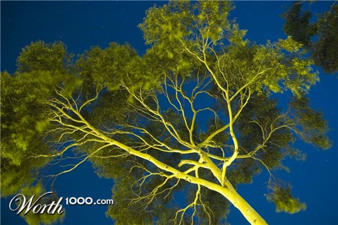 Photography by isaidwhat