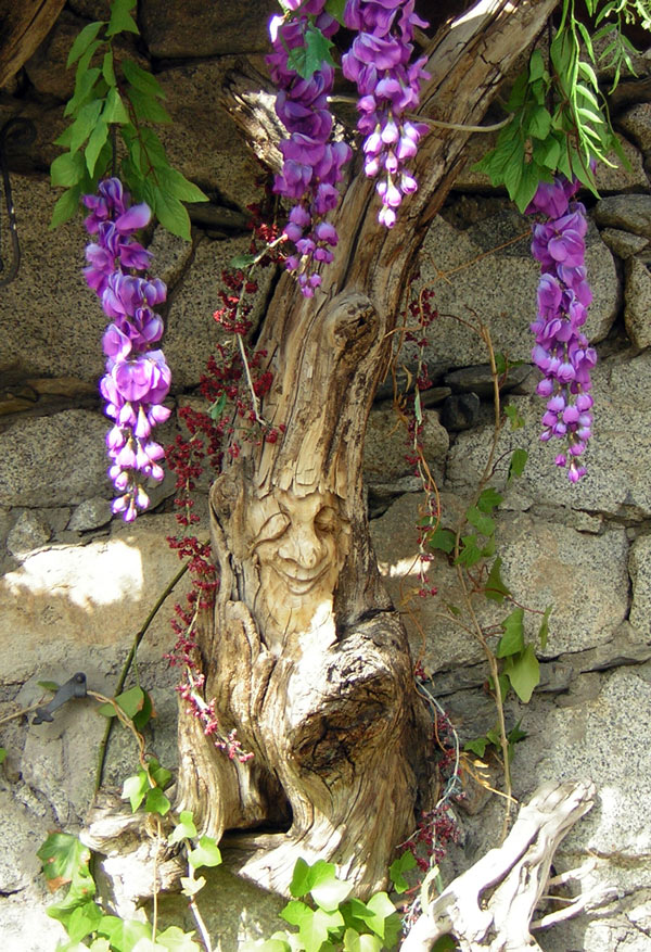 Fotografie von holdenzgz für DesignCrowd (Community Contests) | Design #8999437