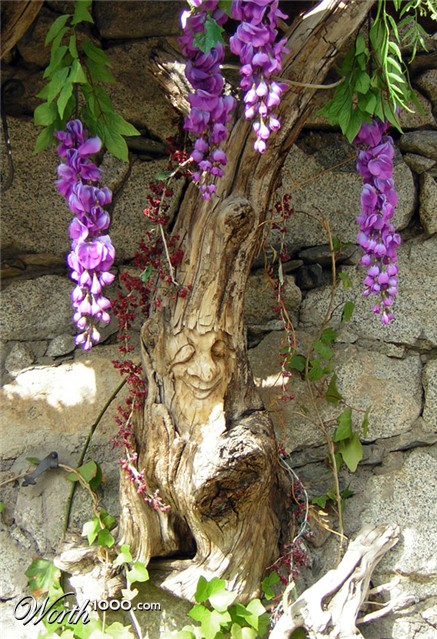 Photography by holdenzgz