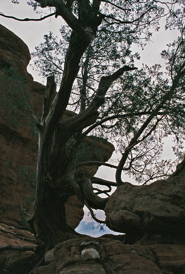 Photography by blueberr59 for DesignCrowd (Community Contests) | Design #8999448