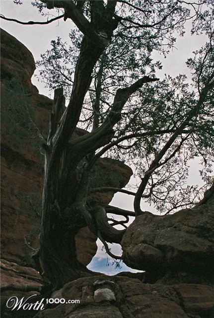 Photography by blueberr59