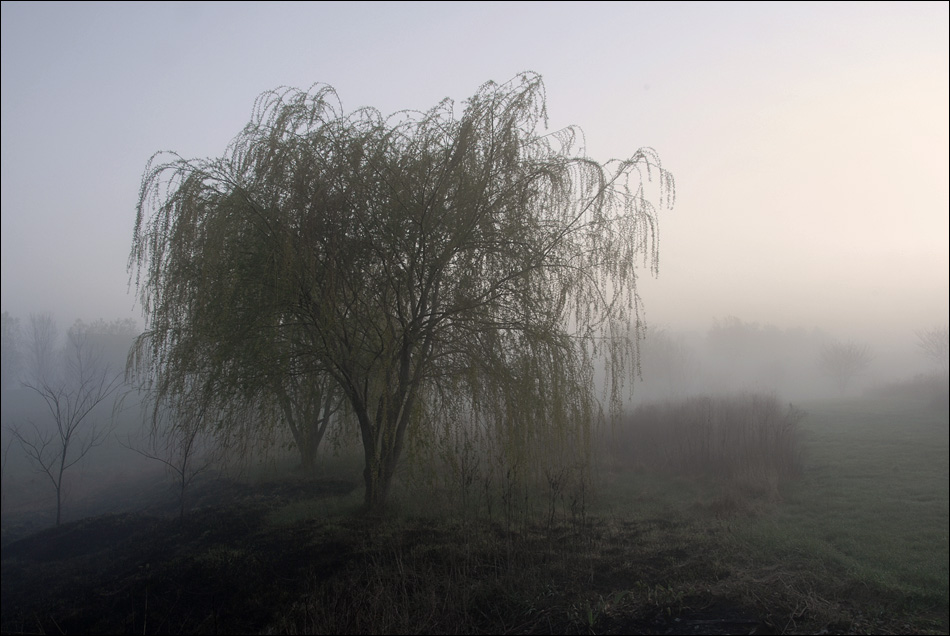 Fotografía por sundive-ken para DesignCrowd (Community Contests) | Diseño #8999362