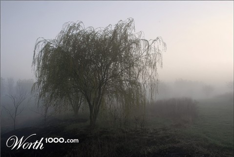 Photography by sundive-ken