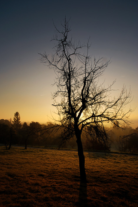 Photography by BenBraddock for DesignCrowd (Community Contests) | Design #8999376