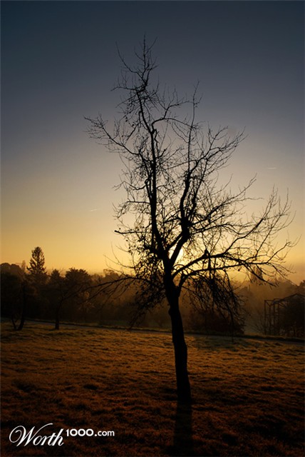 Photography by BenBraddock