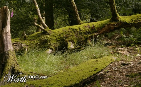 Photography by Rvannith