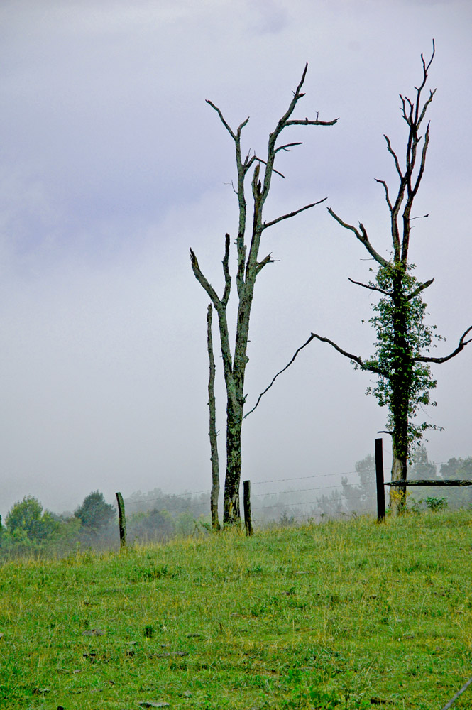 Photography by Lmorrow57 for DesignCrowd (Community Contests) | Design #8999527