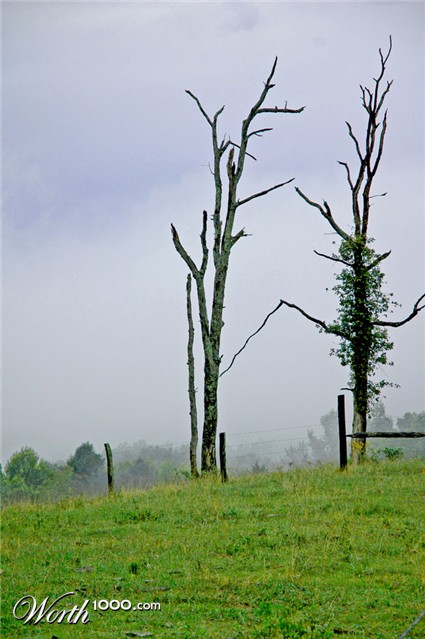 Photography by Lmorrow57