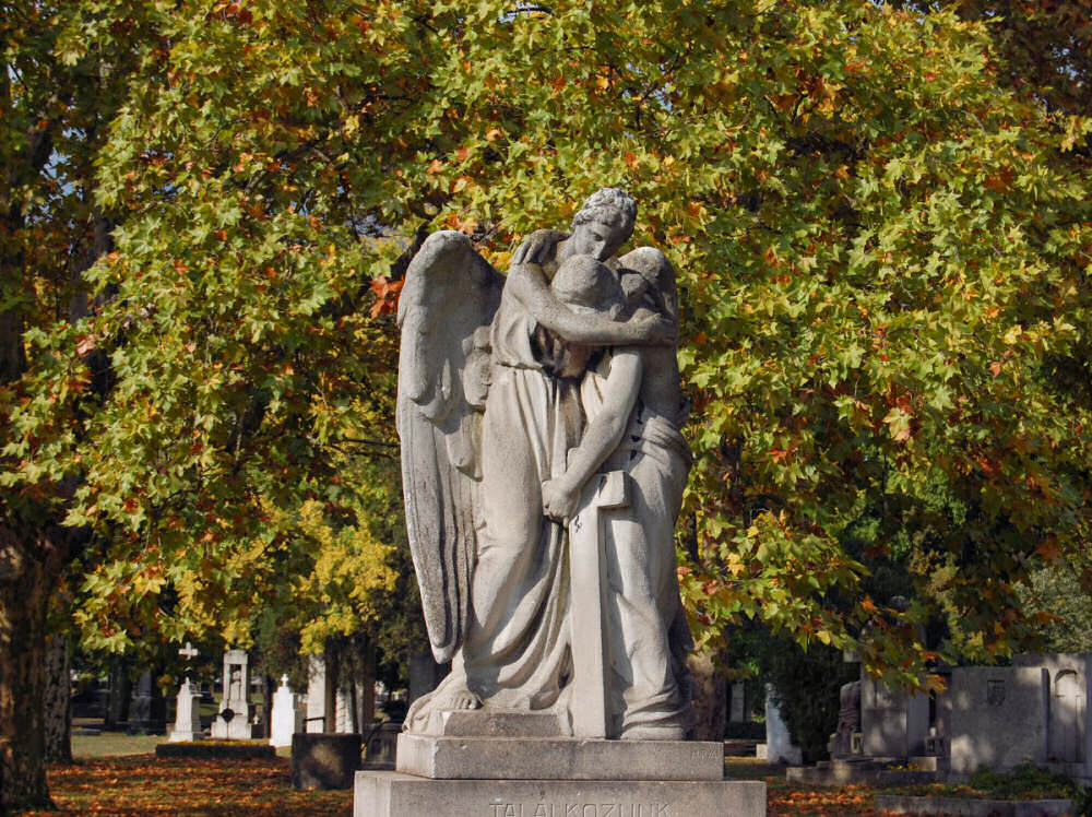 Photography by NatashaP for DesignCrowd (Community Contests) | Design #8998324