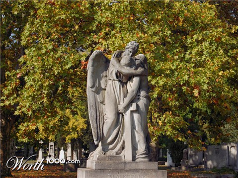 Photography by NatashaP