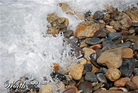 Photography by Bastet