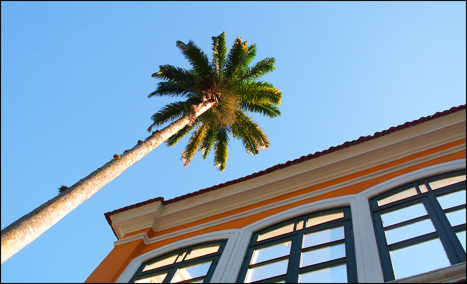 Photography by Pr4ktic for DesignCrowd (Community Contests) | Design #8999506